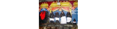 065. திருகடம்பந்துறை